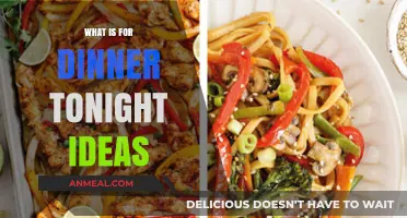 Quick and Easy Dinner Ideas for Tonight's Family Meal