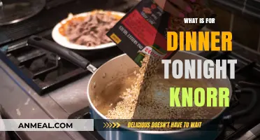 What’s for Dinner Tonight? Knorr’s Quick & Easy Meal Ideas