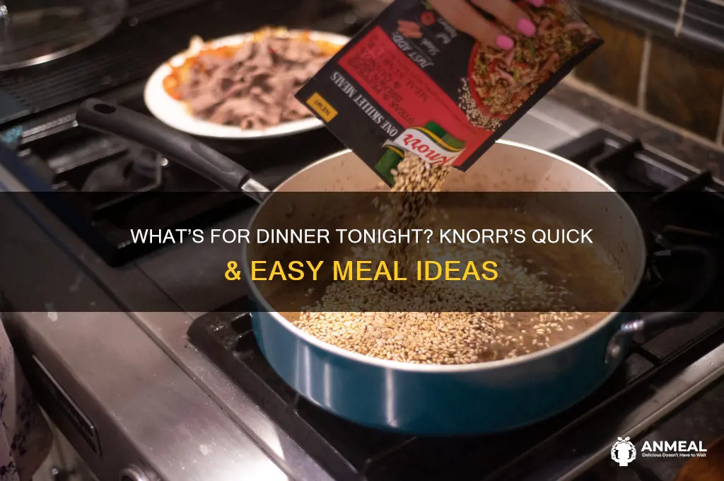 what is for dinner tonight knorr