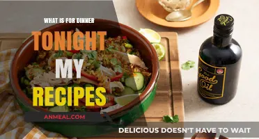 Delicious Dinner Ideas: Tonight's Recipes for a Perfect Meal