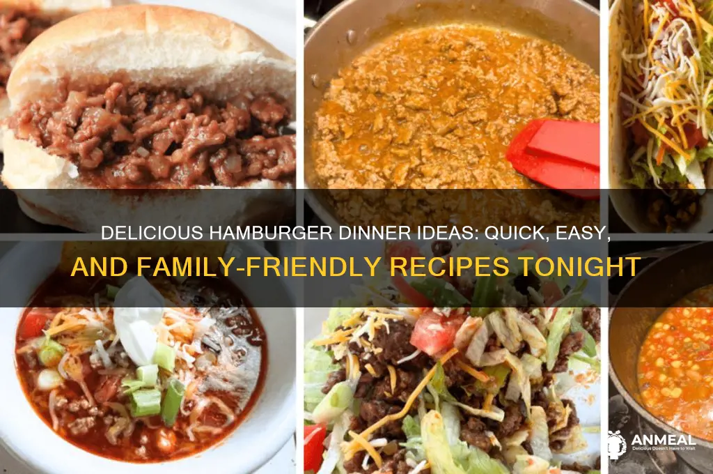 what is for dinner tonight usung hamburger