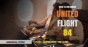What's for Dinner on United Flight 84? A Culinary Journey