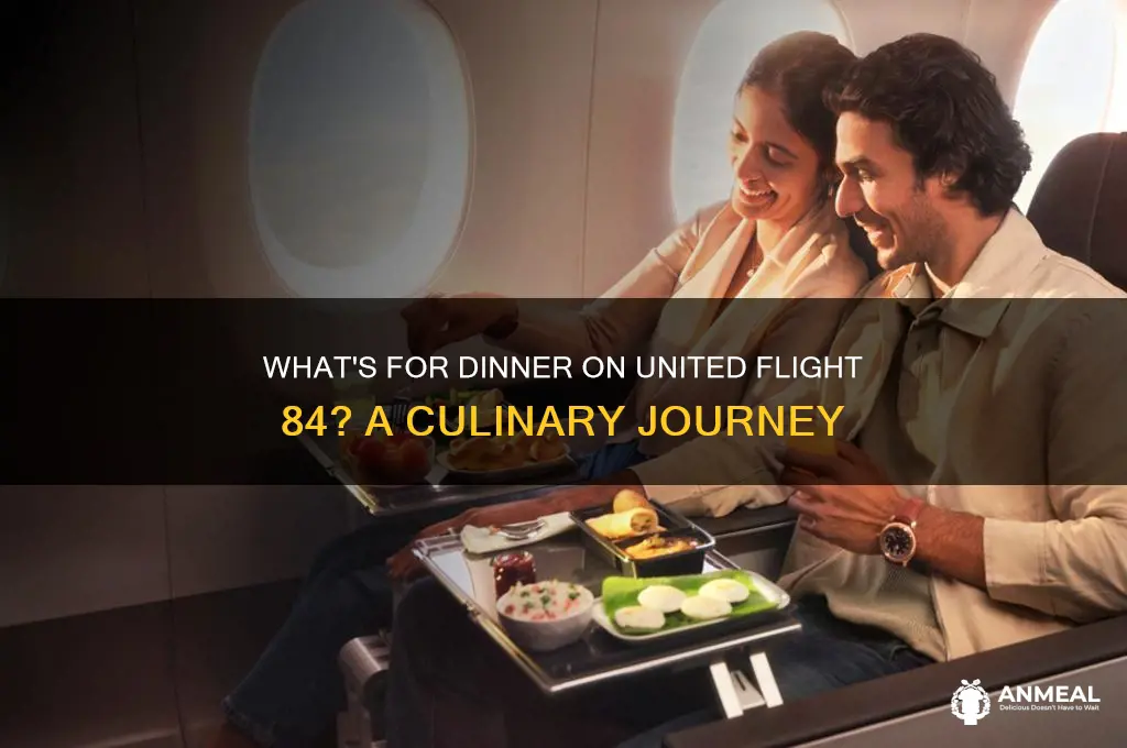 what is for dinner united flight 84
