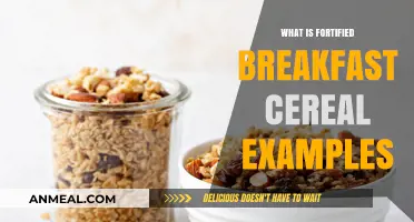 Fortified Breakfast Cereals: Nutritious Examples for a Healthy Start