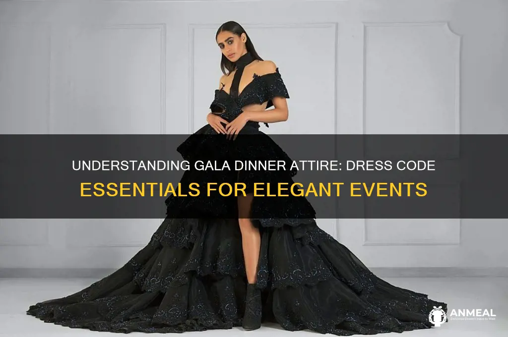 what is gala dinner attire