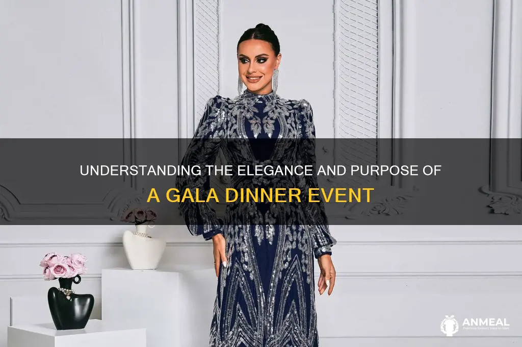 what is gala dinner