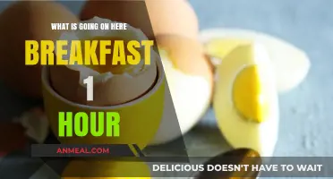 Unraveling the Mystery of Breakfast: What's Happening in 1 Hour?