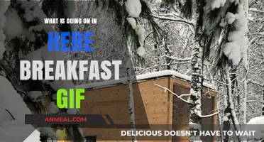 What’s Happening in This Hilarious Breakfast GIF? Explained!