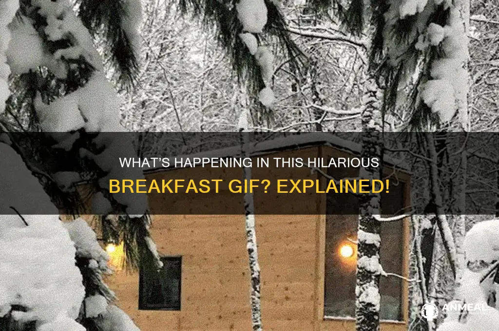 what is going on in here breakfast gif
