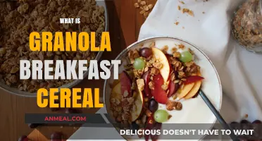 Discover Granola: A Wholesome, Crunchy Breakfast Cereal Explained