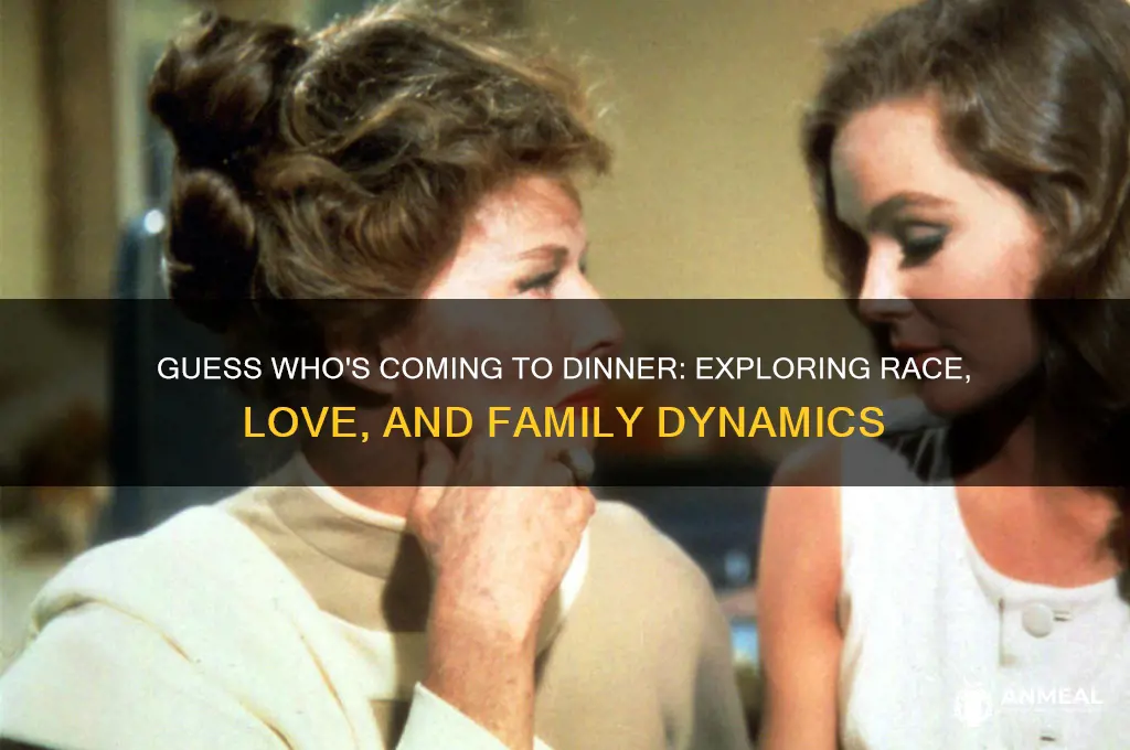 what is guess who coming to dinner about
