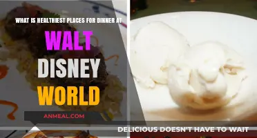 Discover Walt Disney World's Healthiest Dinner Spots for Nutritious Meals