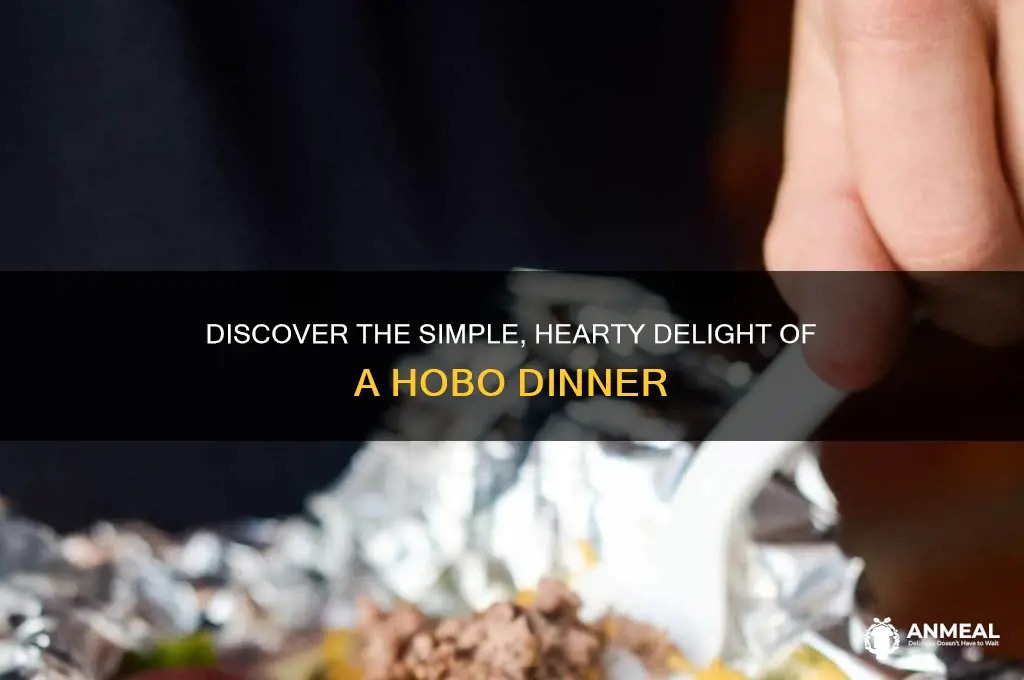 what is hobo dinner