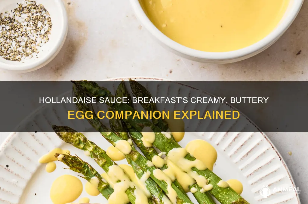 what is hollandaise sauce used for breakfast
