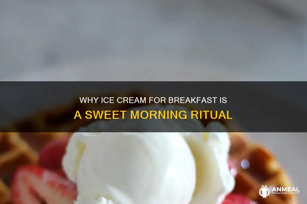 what is ice cream for breakfast