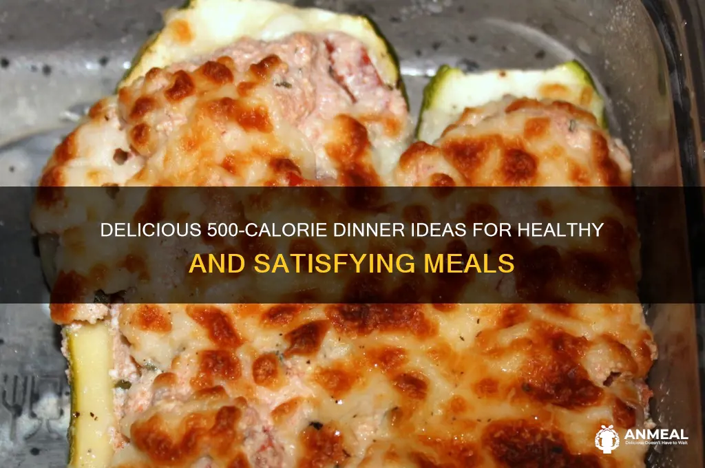 what is in a 500 calorie dinner