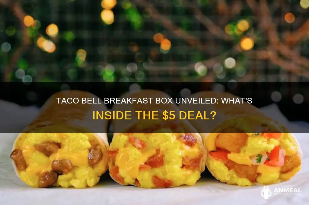 what is in the $5 taco bell breakfast box