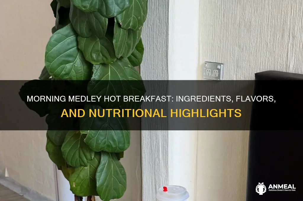 what is in the morning medley hot breakfast