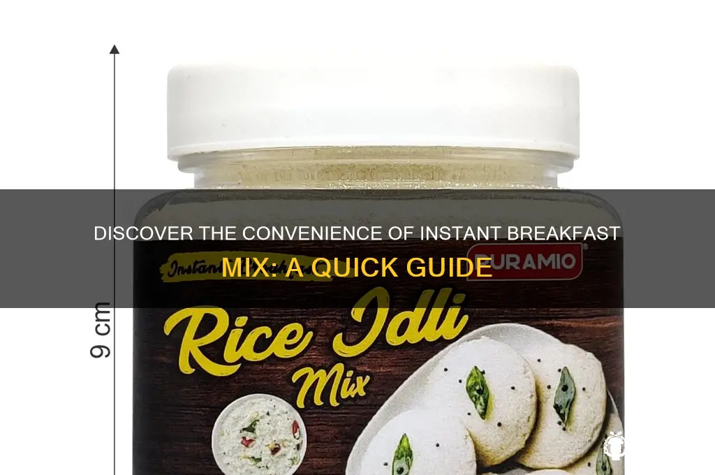 what is instant breakfast mix