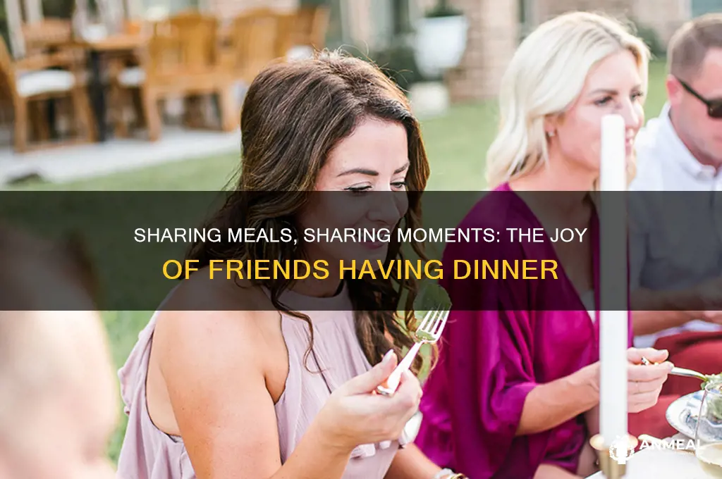 what is it called when friends have dinner