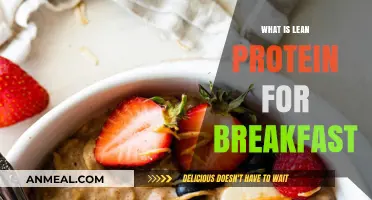 Start Your Day Right: Lean Protein Breakfast Ideas Explained