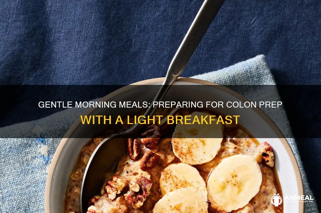 what is light breakfast day before colon prep