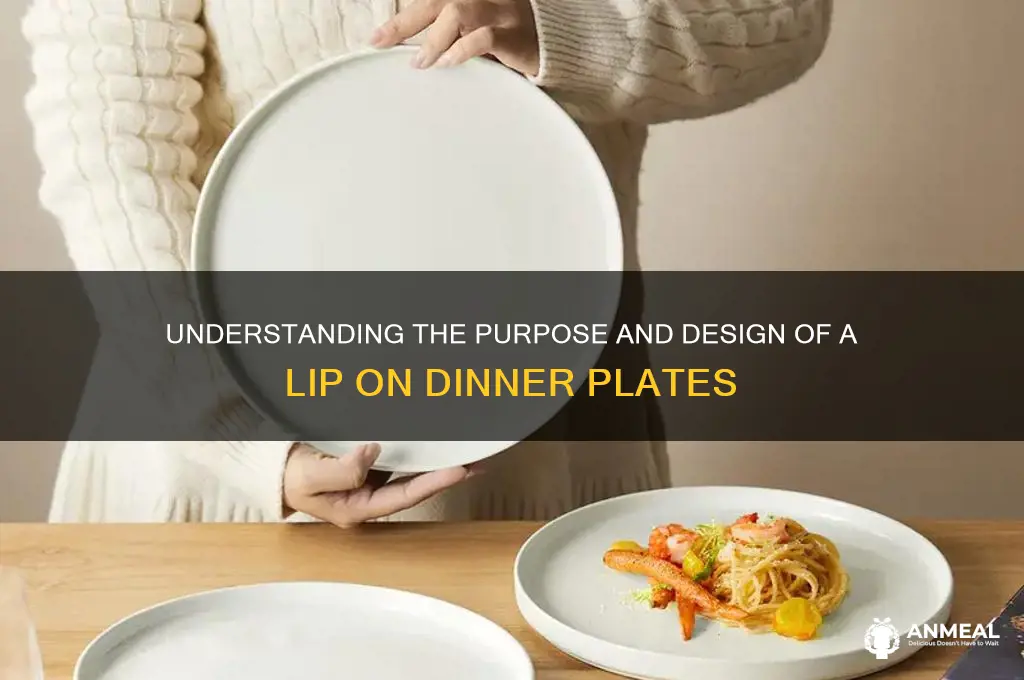 what is lip on a dinner plate