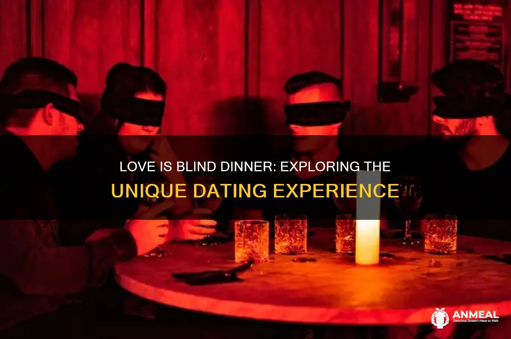 what is love is blind dinner