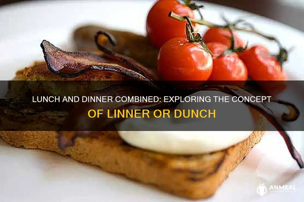 what is lunch and dinner called together