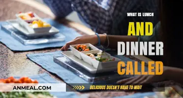 Lunch and Dinner Names: Exploring Global Meal Terminology and Traditions