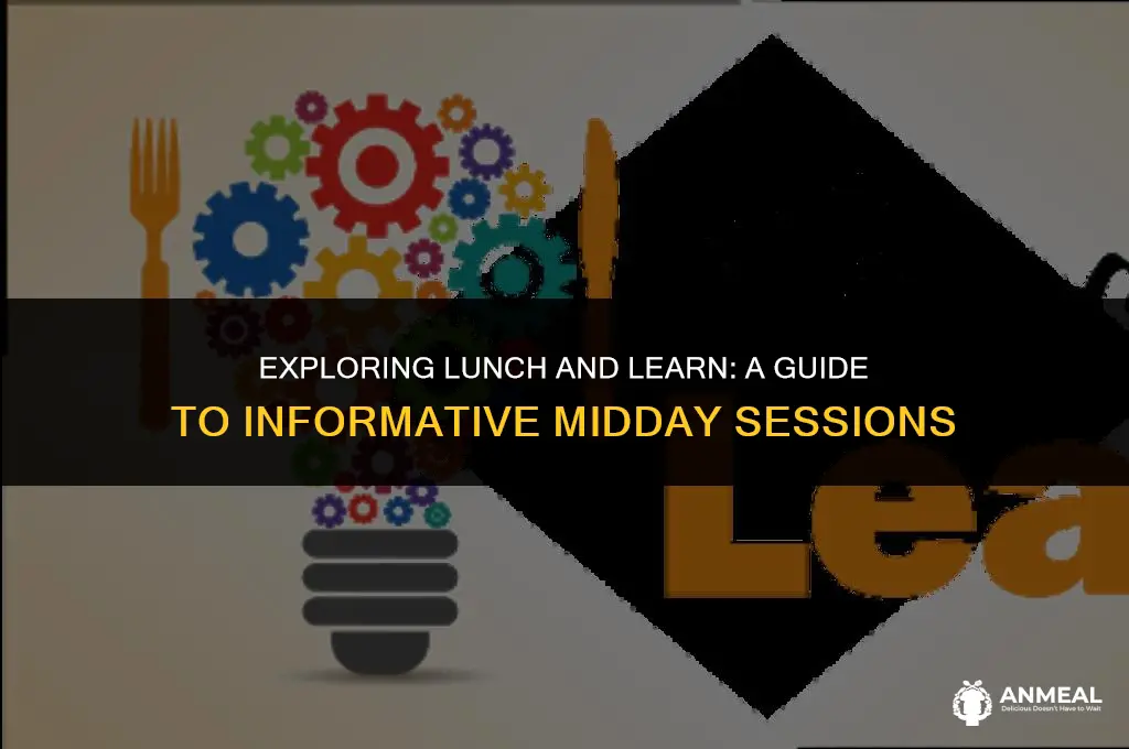 what is lunch and learn
