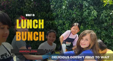Exploring the Concept of Lunch Bunch: A Social Phenomenon
