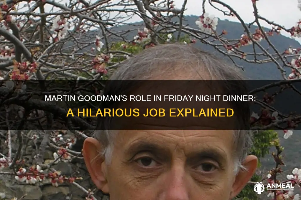 what is martin