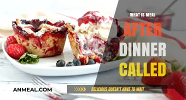 Exploring the Delightful World of Post-Dinner Treats and Desserts