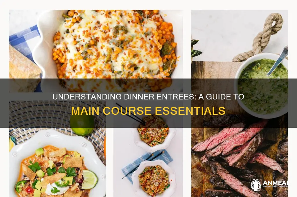 what is meant by a dinner entrees
