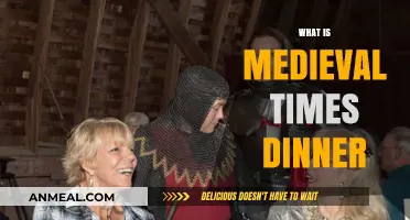 Medieval Times Dinner: A Knight's Feast of History and Entertainment