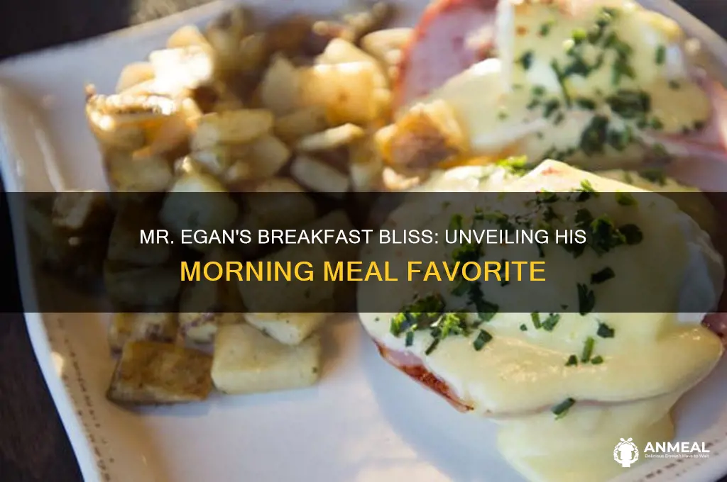 what is mr egan