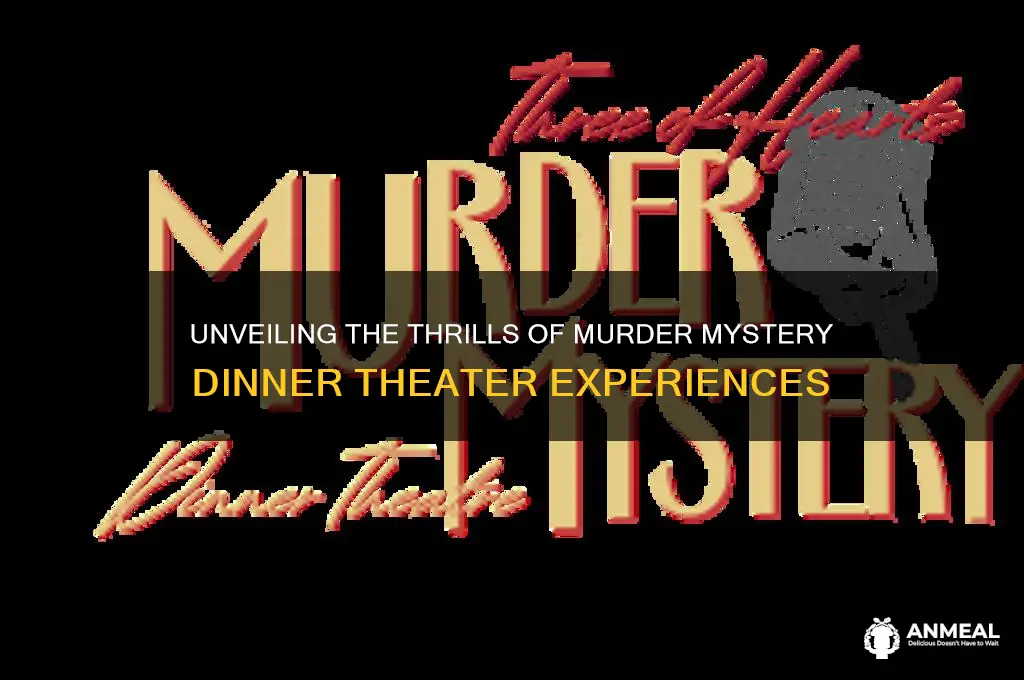 what is murder mystery dinner theater