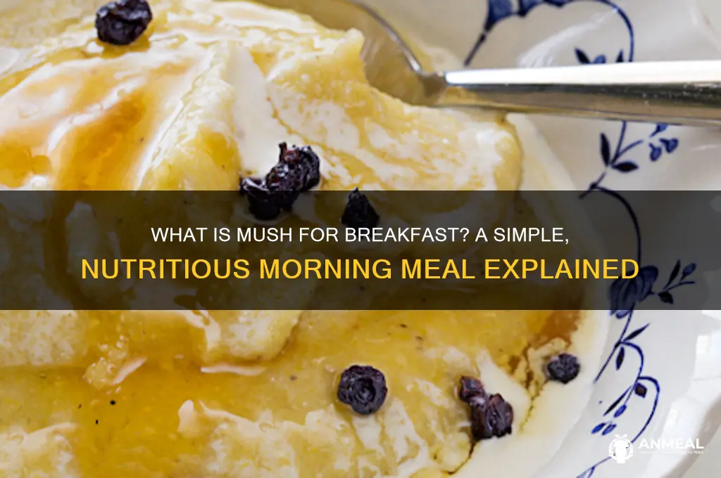 what is mush for breakfast