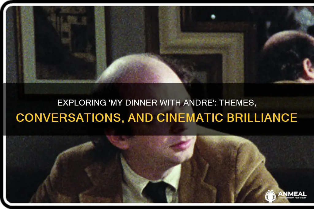 what is my dinner with andre about
