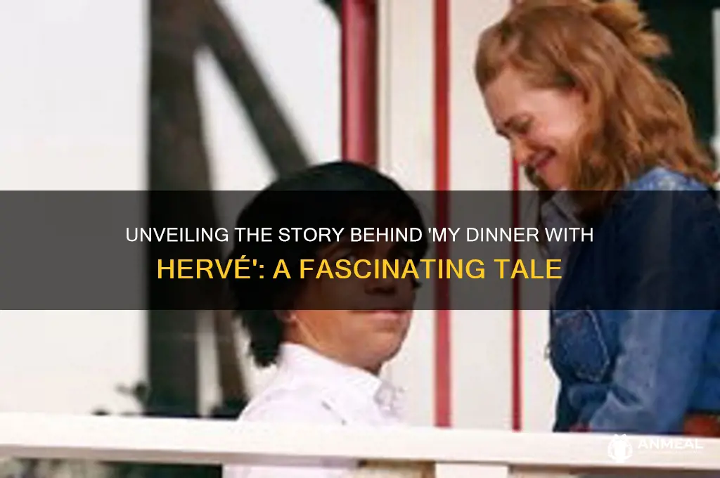 what is my dinner with herve about