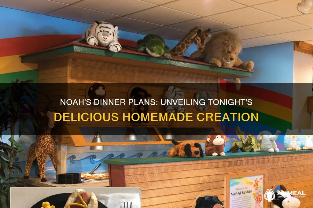 what is noah making for dinner