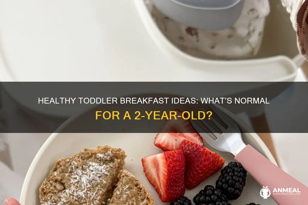 what is normal breakfast food for a 2 year old