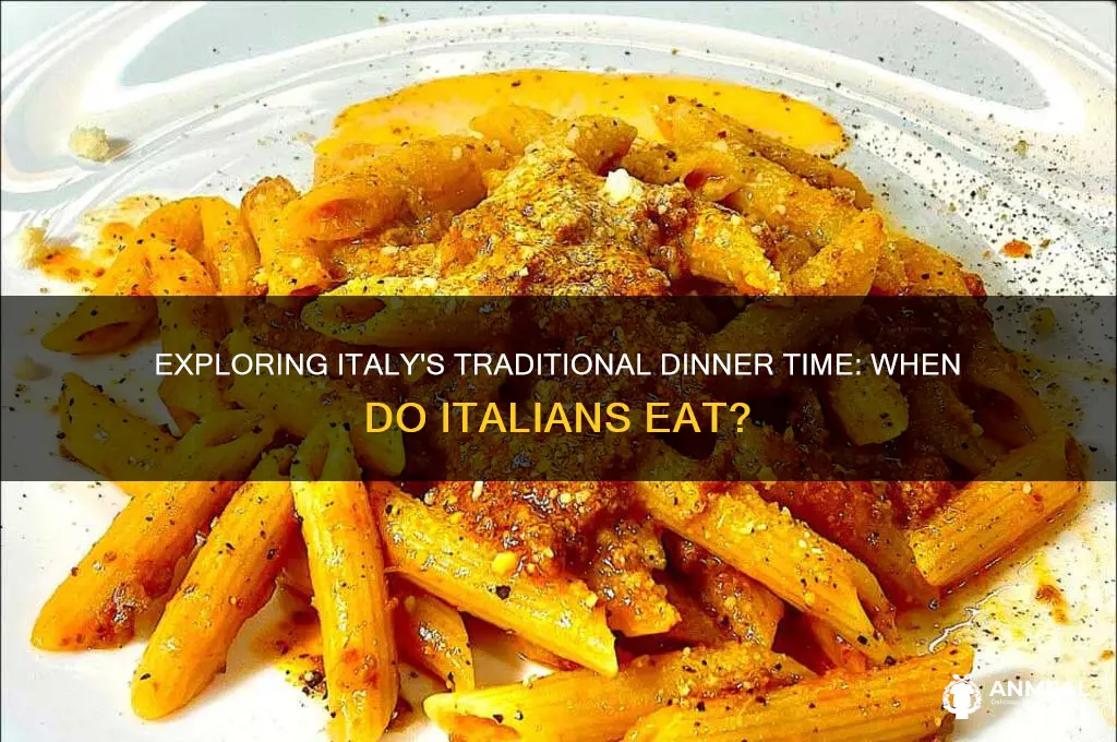 what is normal dinner time in italy