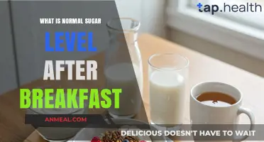Understanding Normal Blood Sugar Levels After Breakfast: A Healthy Guide