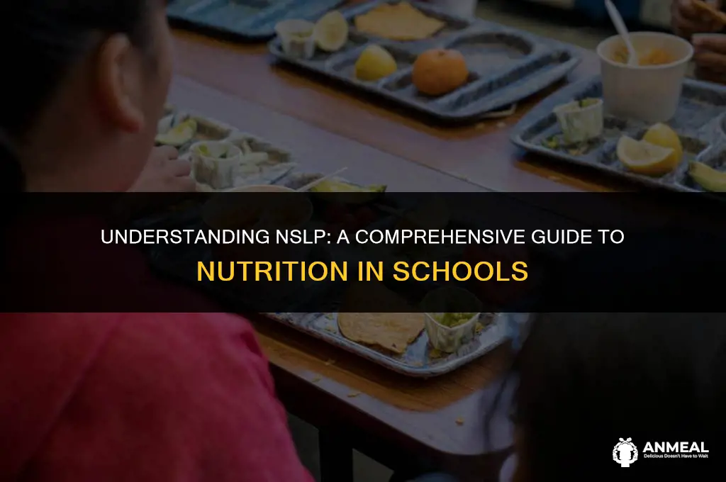 what is nslp