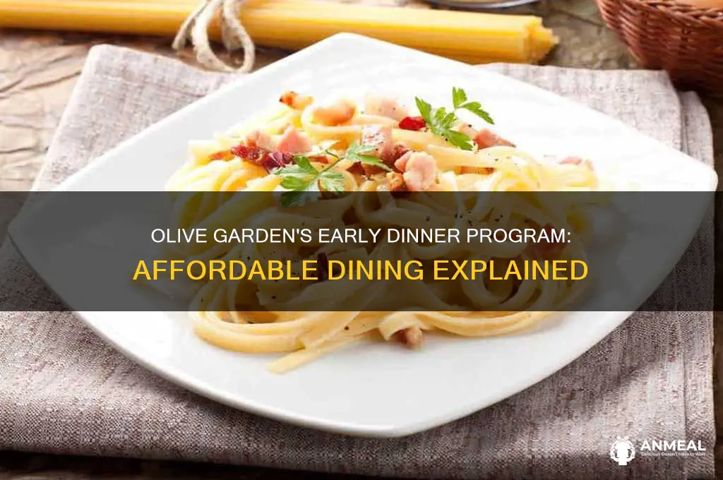 what is olive garden