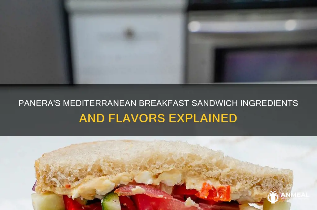 what is on panera