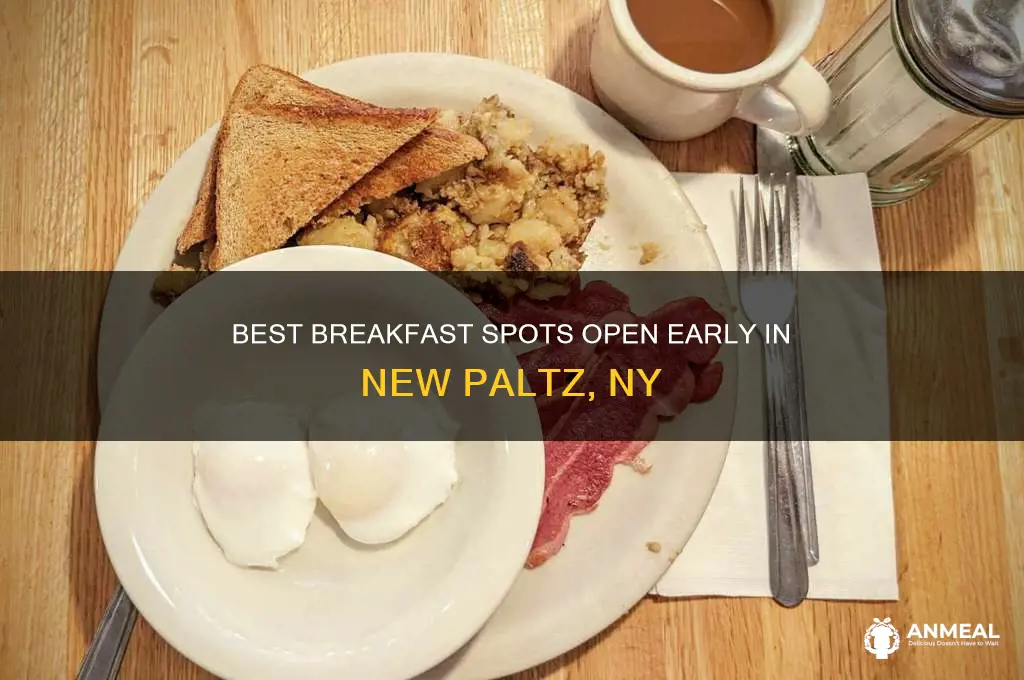 what is open for breakfast in new paltz ny
