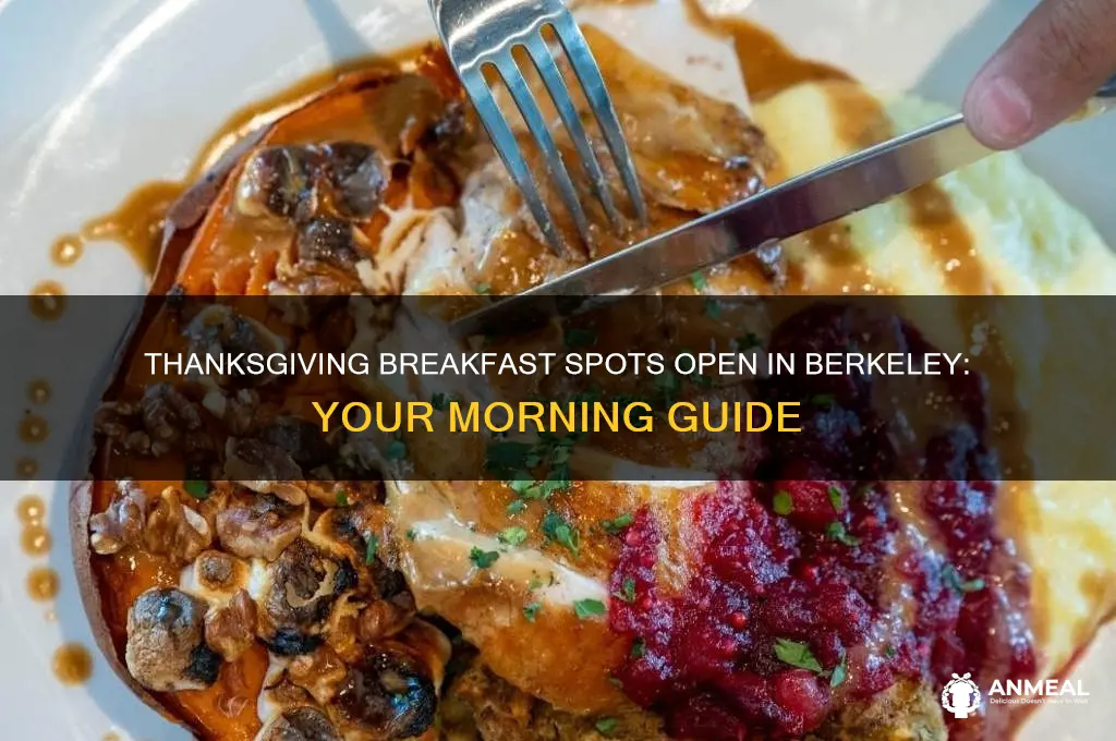 what is open for breakfast on thanksgiving in berkeley